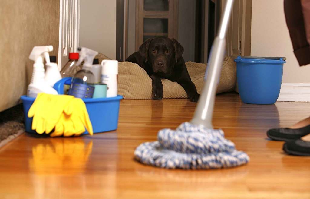 Keep your house clean