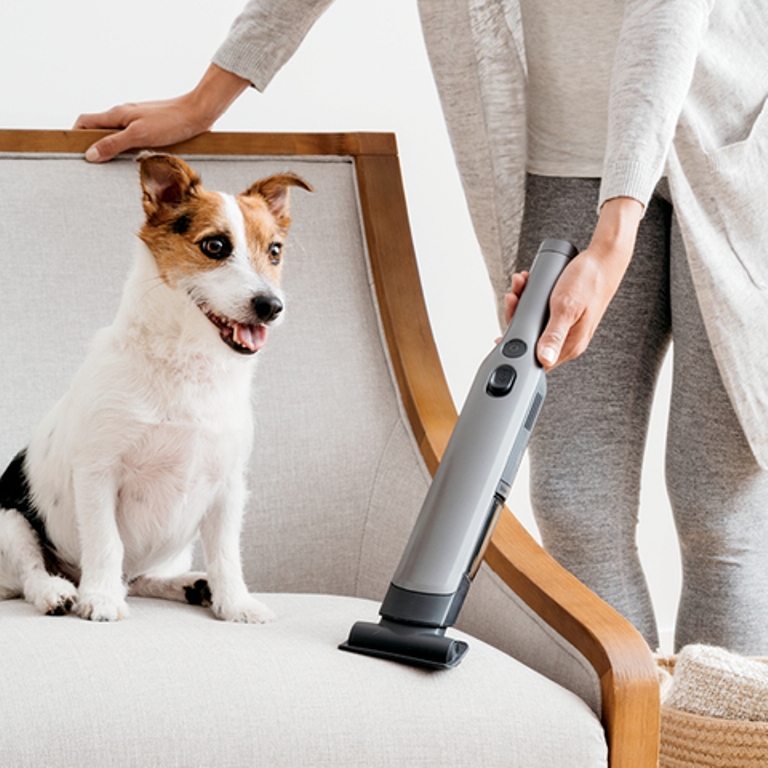 Removing Pet Hair From Furniture