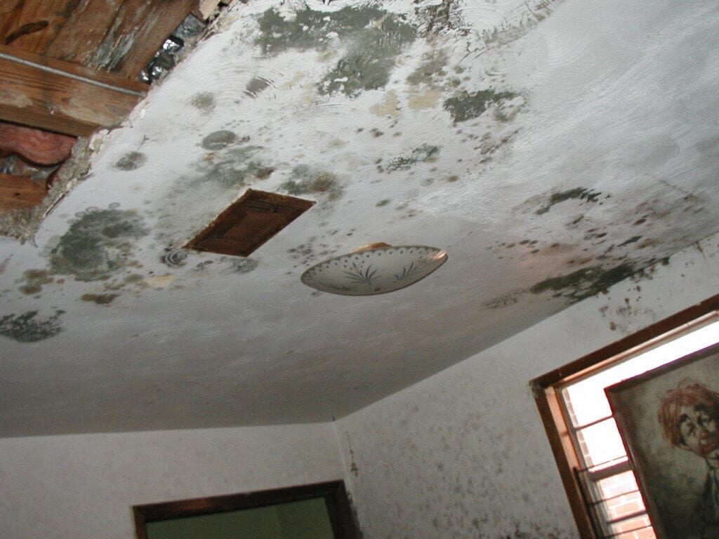 Damage To Interior Ceilings