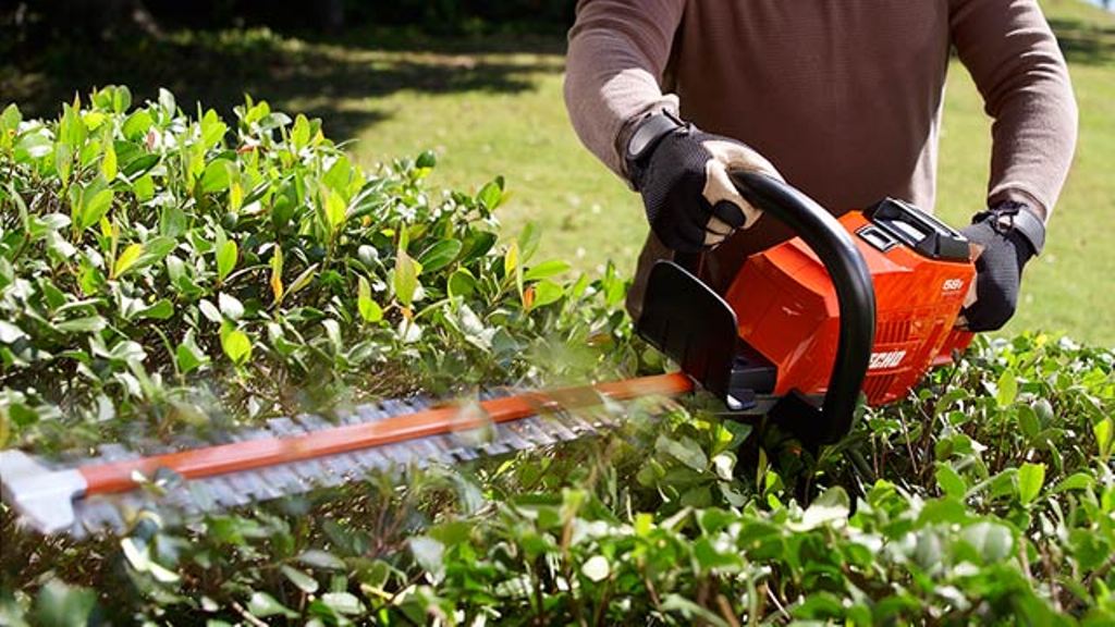 What to Look for When Buying a Hedge Trimmer