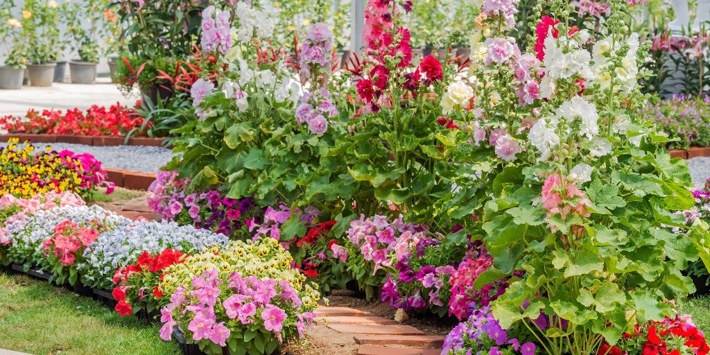 When Is It Good to Plant Annuals in Spring