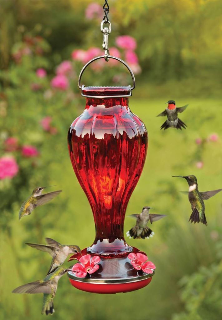 Reasons why Bees and Other Insects Invade Hummingbird Feeders