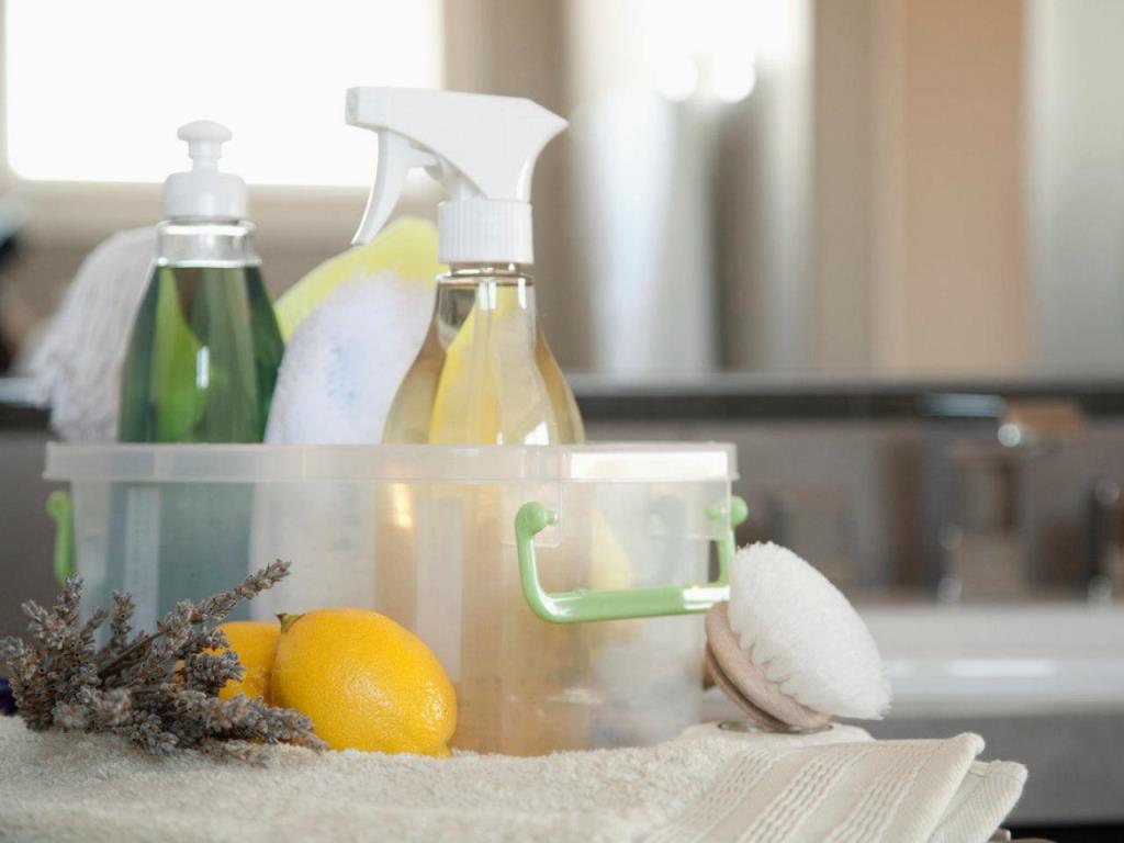 Switch to Natural Cleaning Products