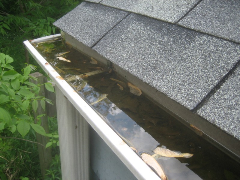 Get the Gutters Inspected