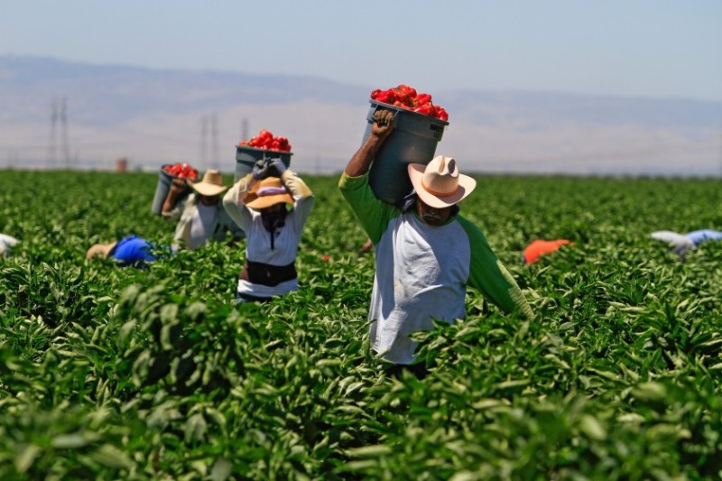 Right Farm Workers