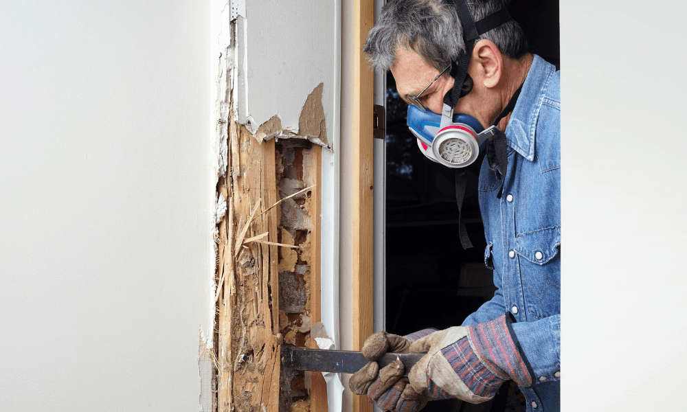 When to Repair the Wood in Your Home