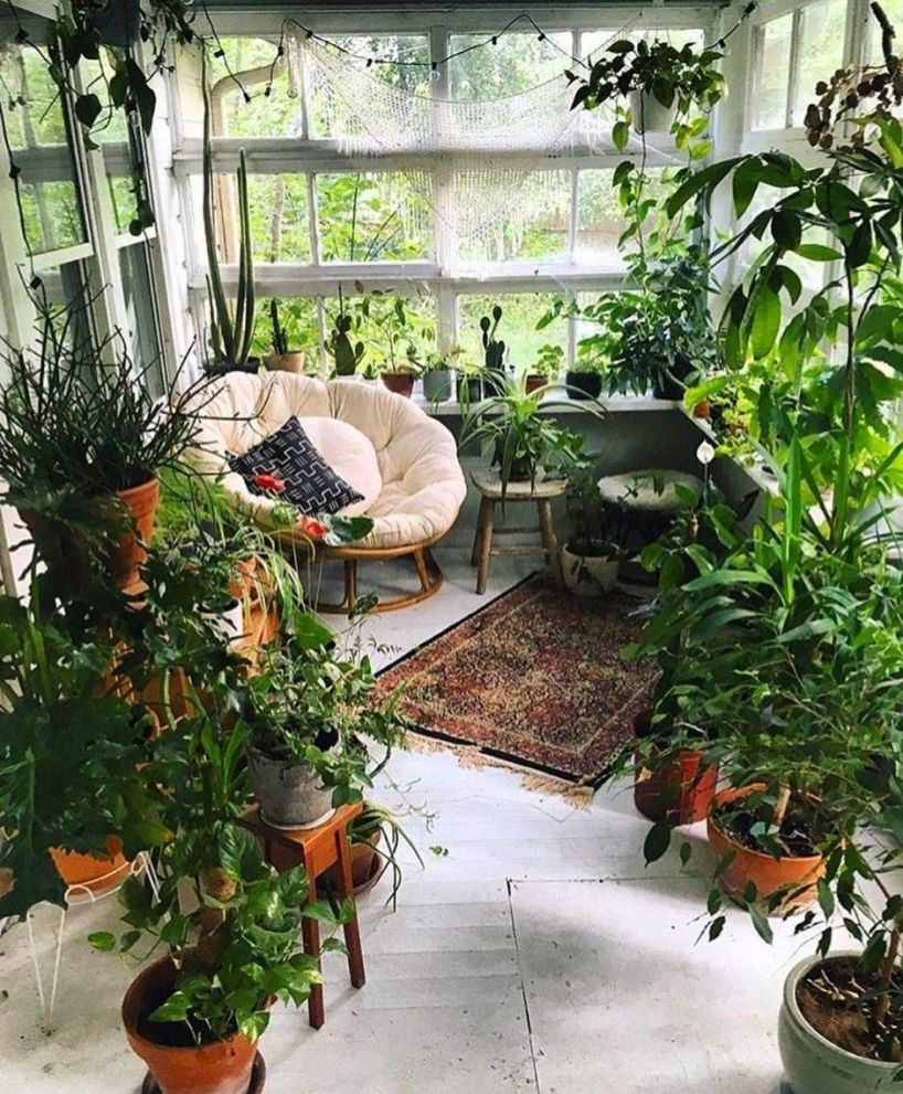 Create an indoor jungle