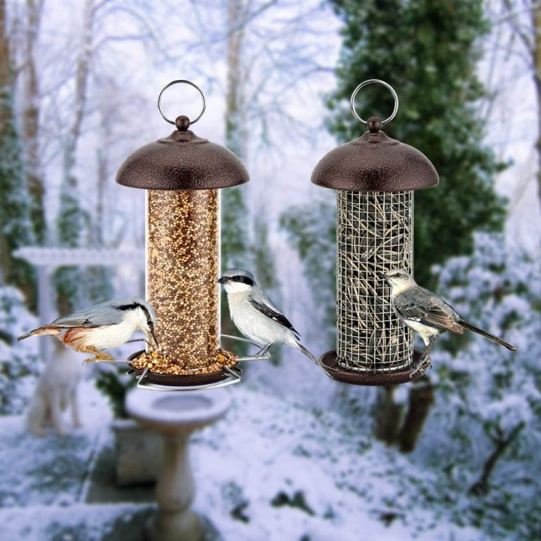 Invest The Best Woodpecker Feeders