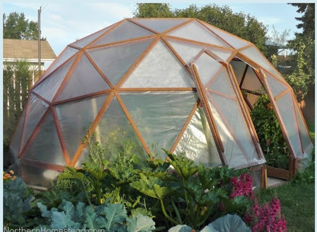 Mini Greenhouse Dome