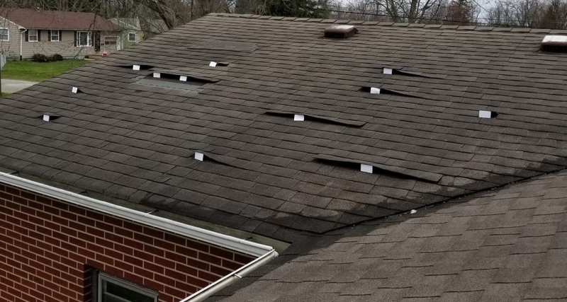 Best Care of Your Roof1