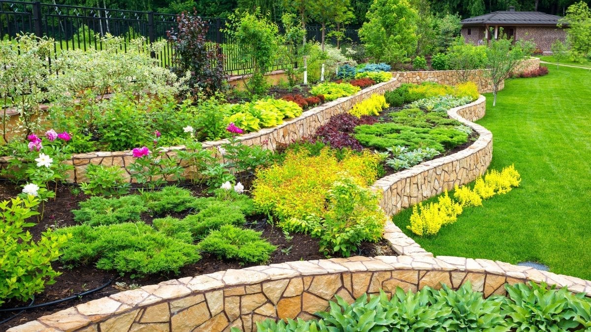 Create Design For Your New Yard