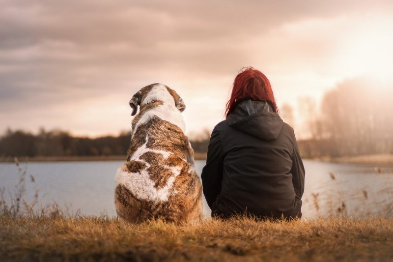 Dogs teach mindfulness