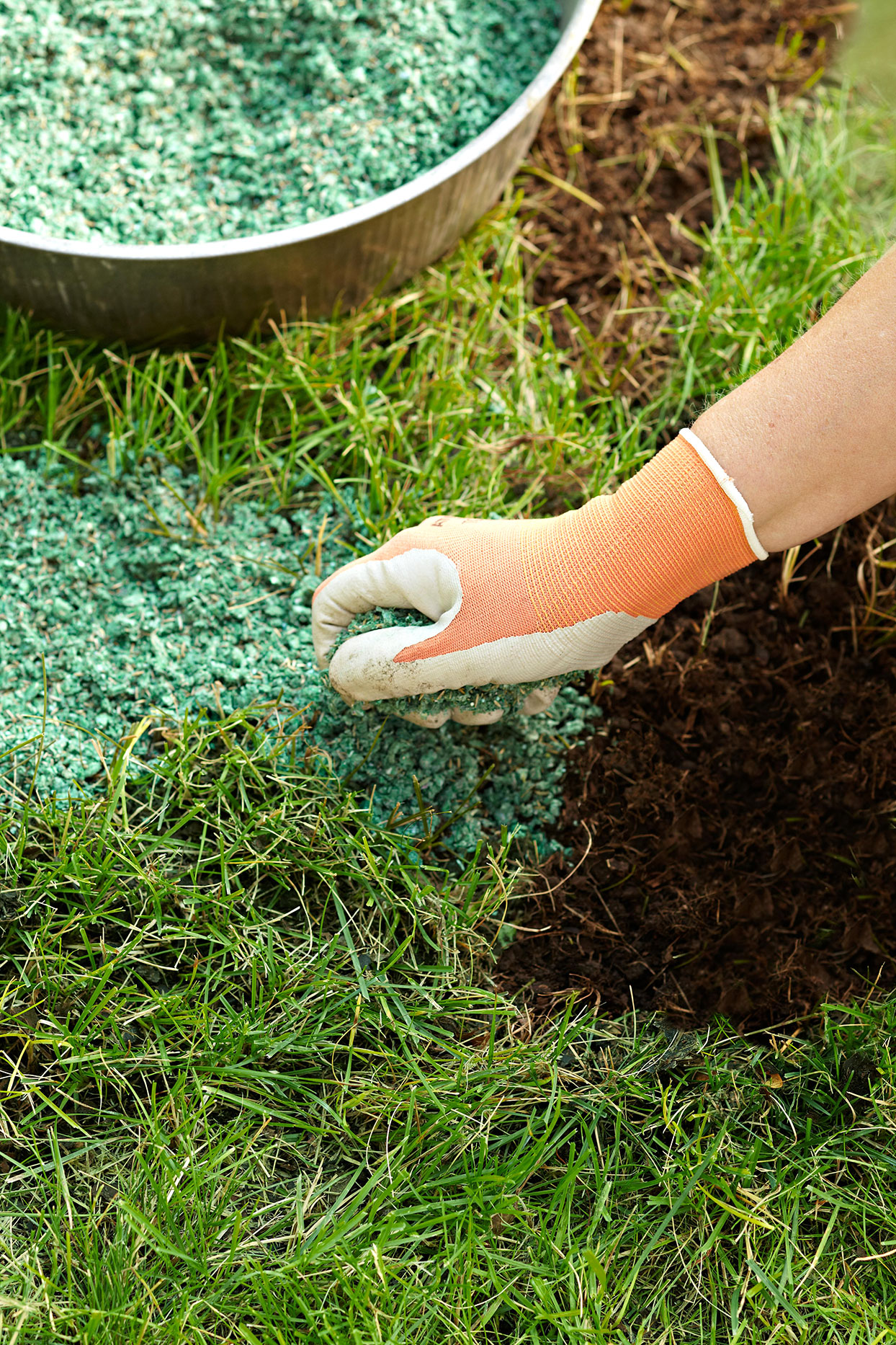Fertilize Your Lawn Without Any Chemicals