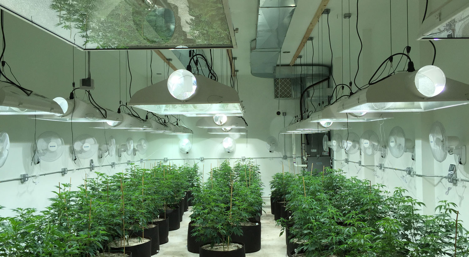 Grow rooms extend your growing Season