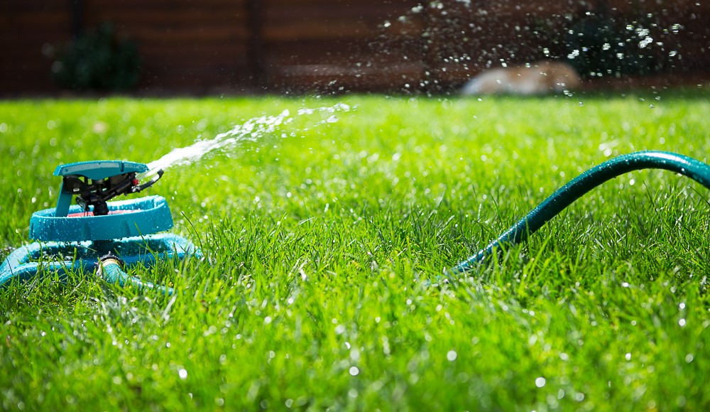 Lawns Need Water