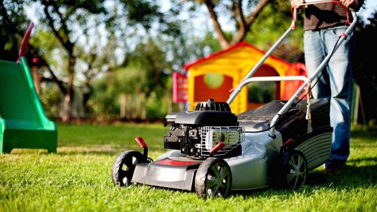 Things to Consider While Deciding on a Lawnmower