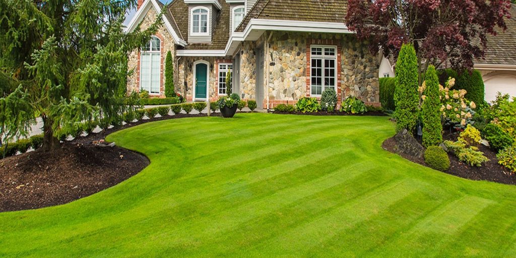 Learn a Few Things About Fertilizing Your Lawn » Residence Style