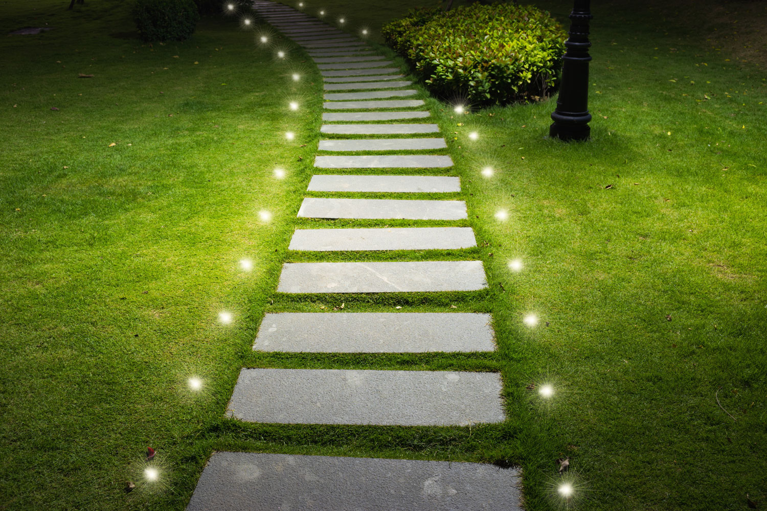 LED Spotlights for Pathways