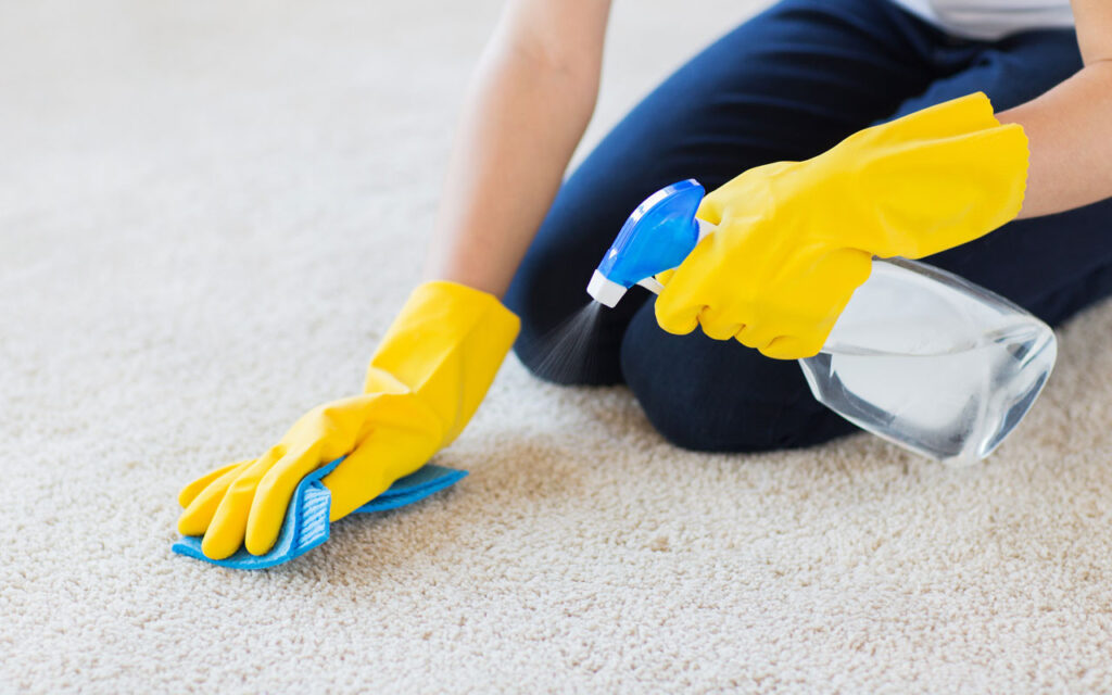 Carpet Cleaning3