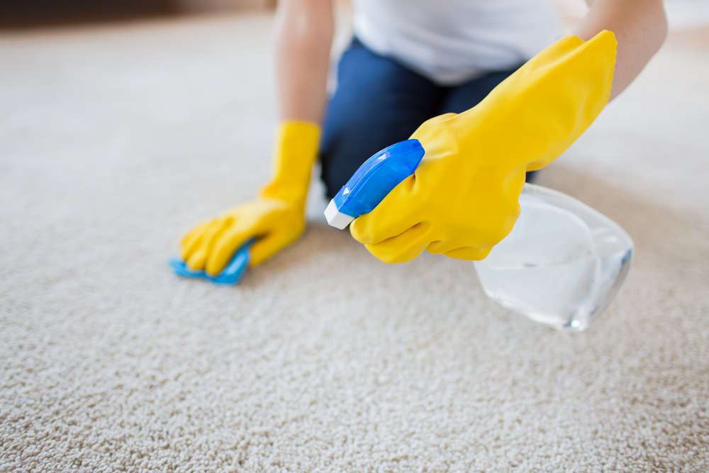 Clean Your Carpet properly2