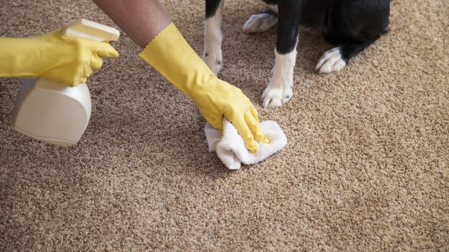 Clean Your Carpets Regularly1