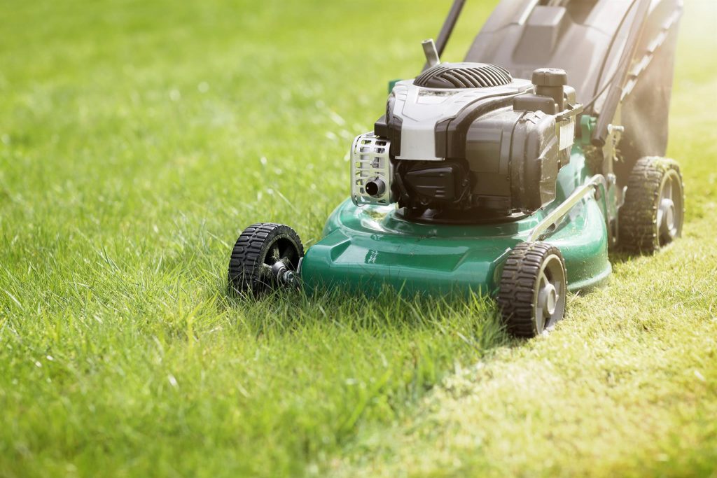 Effective Lawn Care