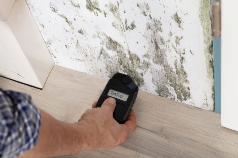 Person Hand Measuring The Wetness Off A Moldy Wall