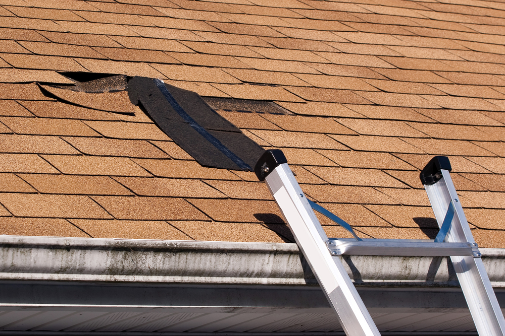 Repair your property’s roofing2