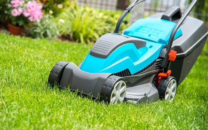 Lawn Mower for the Yard