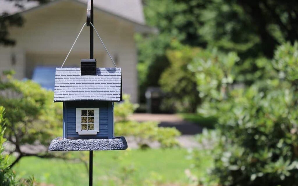 Birdhouse for your backyard1