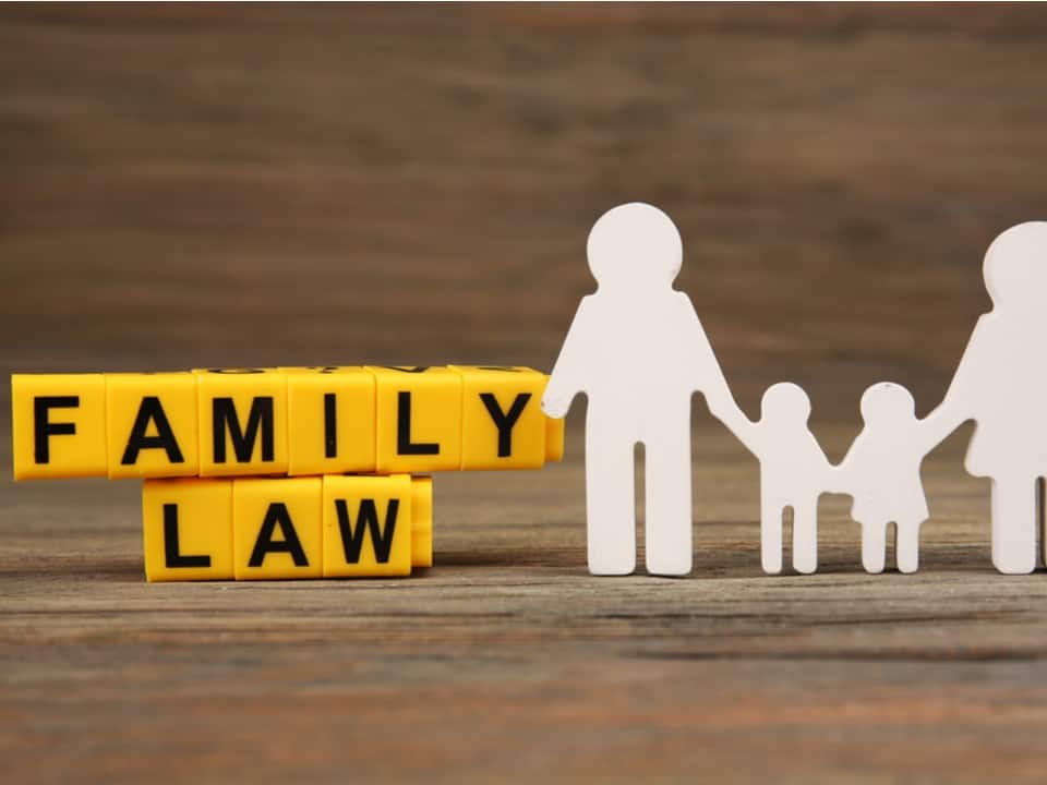 Legal Aid Family Lawyer2