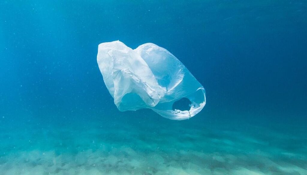 Plastic Take to Biodegrade2