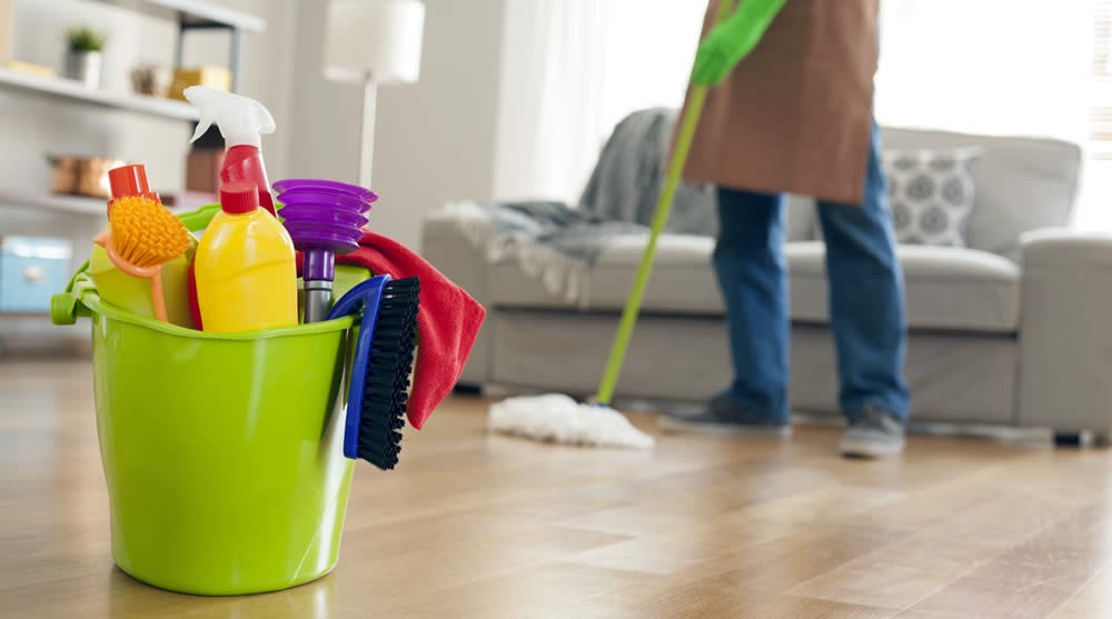 Professional House Cleaning Service1