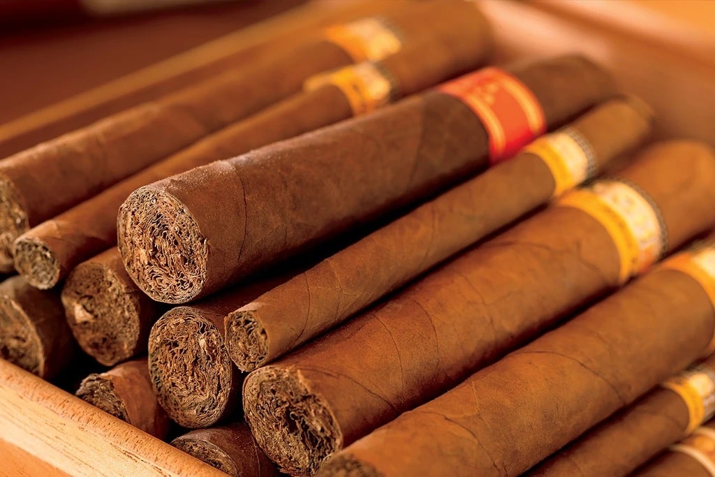 Cuban Cigars1