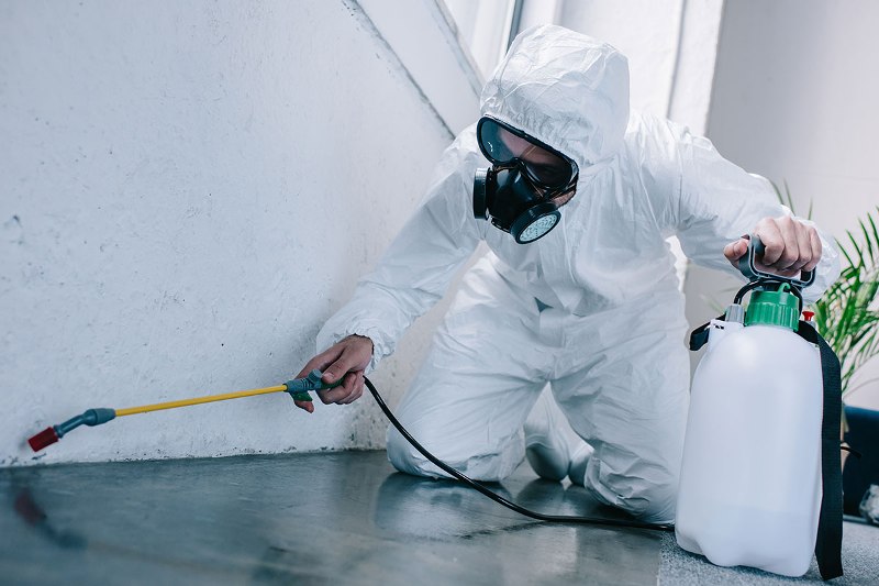 Reasons to Hire a Professional Pest Control Service in South Lyon.
