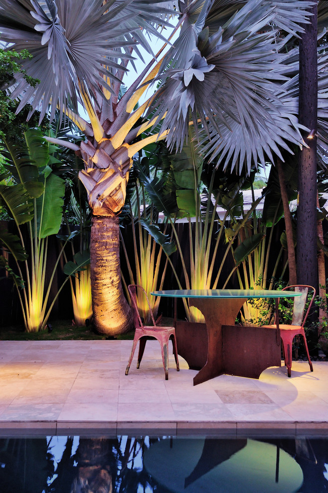 Outdoor Lighting Ideas To Highlight, Best Solar Lights For Palm Trees