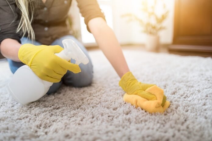 Carpet Cleaning 101: Signs That It's Time for Professional Carpet ...