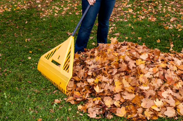 The Top 3 Reasons Why Homeowners Blow the Leaves off Their Lawn ...