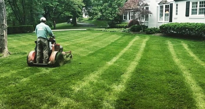 planning-to-hire-a-lawn-care-company-check-this-out-residence-style