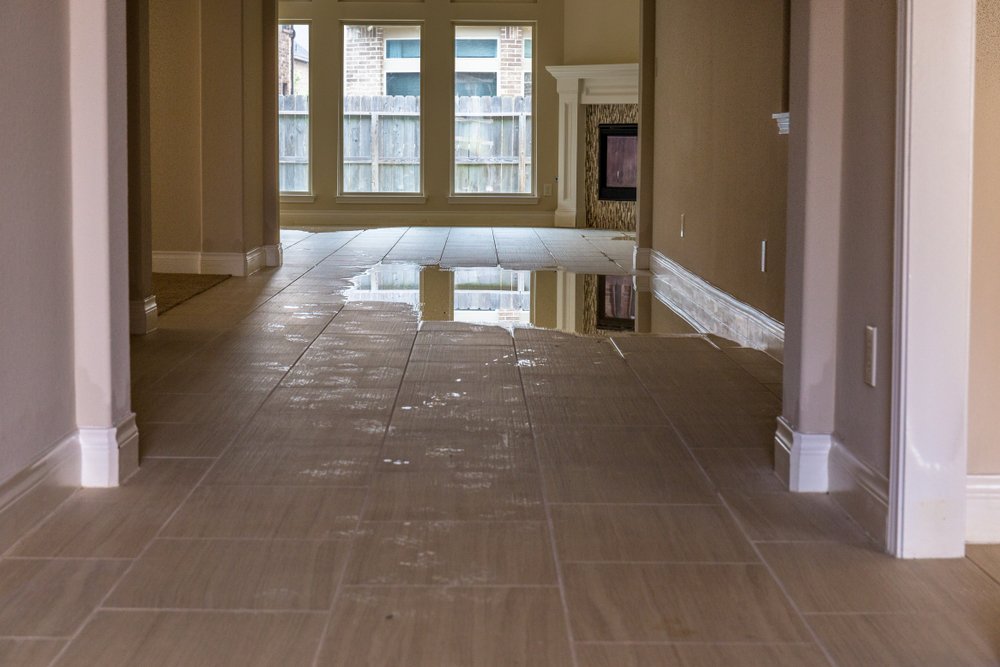 What You Need to Do After Water Damage » Residence Style