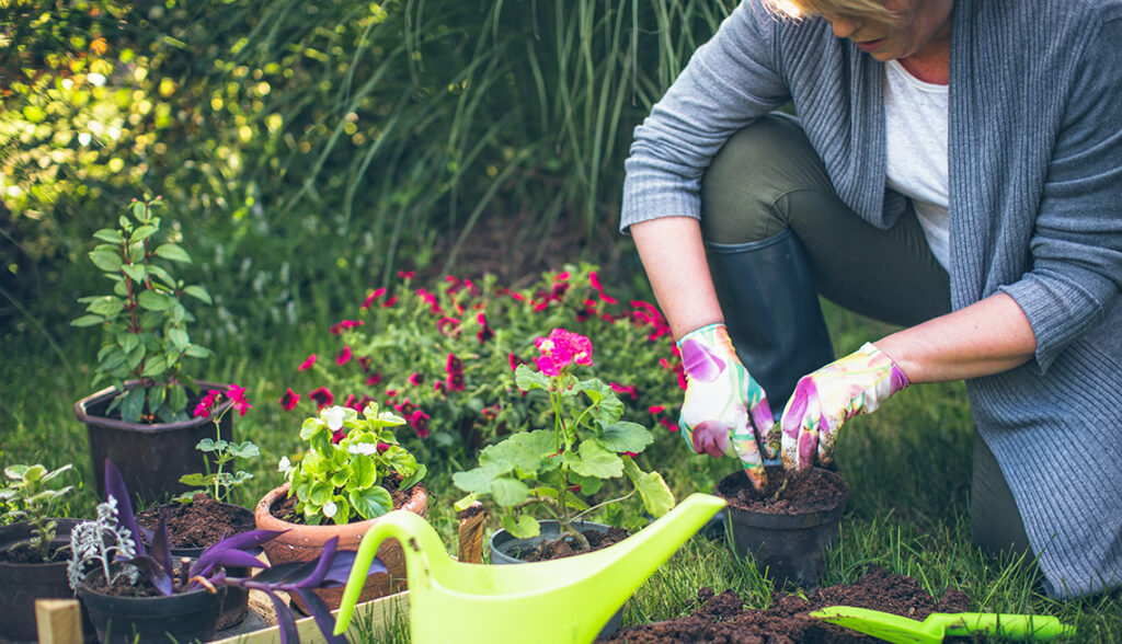 7 Tips for Gardening Success » Residence Style