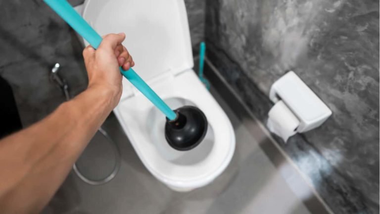 Top 5 Clogged Toilet Solutions for Homeowners & Renters » Residence Style