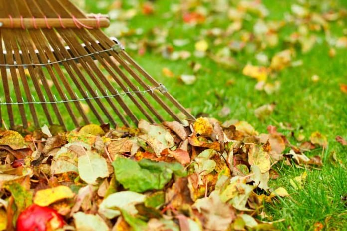 The Ultimate Winter Lawn Care Checklist for Landscaping Businesses ...