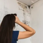 Water Leak in Your Wall